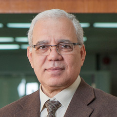 Wahab suri phd thesis