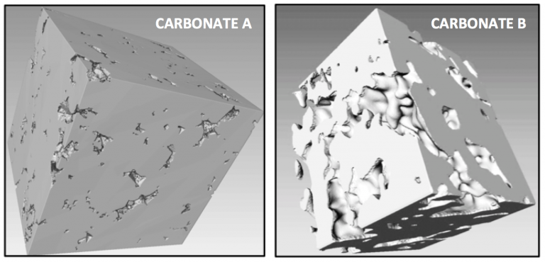 Figure 1. Segmented 3D images of two carbonate samples.