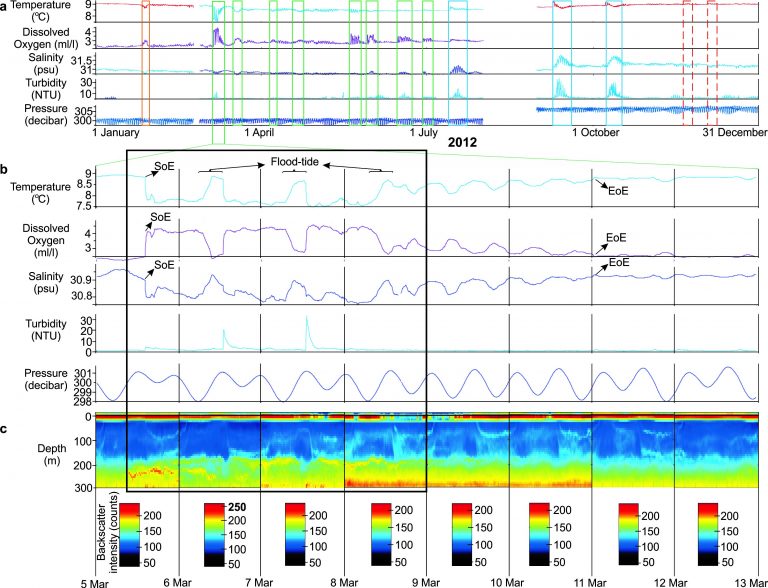 Figure 2. Oceanographic measurements from the central Strait of Georgia (300 m water depth) during the DWR0312 event that occurred between March 5 and 11, 2012. (a) Measurements for all of 2012 with DWRs indicated by the boxes.  (b) Daily changes in seawater parameters during the DWR0312 event. (c) Acoustic backscatter intensity (counts) from the ADCP showing increased bottom water turbidity. Each day has its own ADCP color legend due to a significant increase in turbidity on March 6, 2012. SoE: start of event; EoE: end of event.