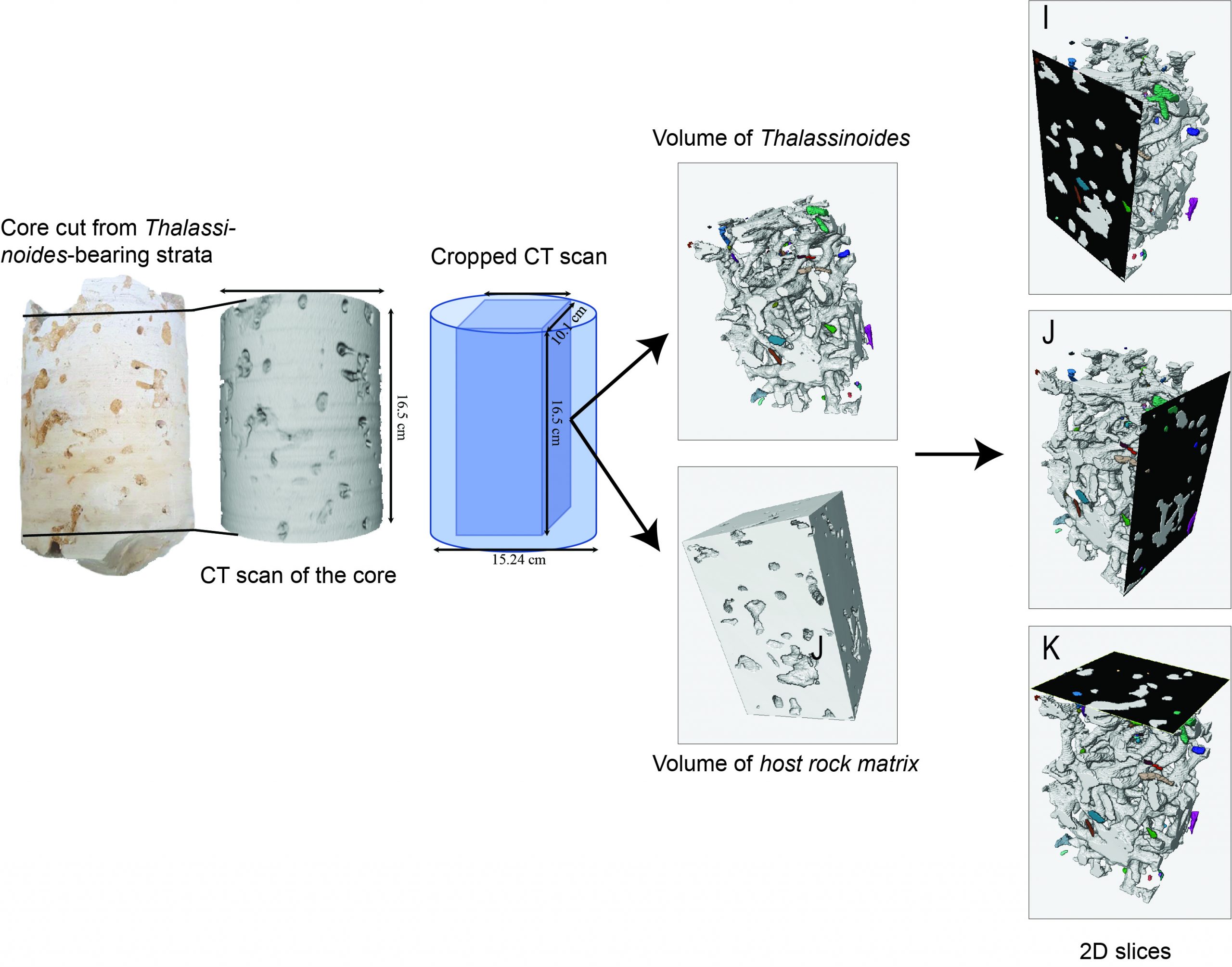 Fig1: Core Cutting and Scan illustration